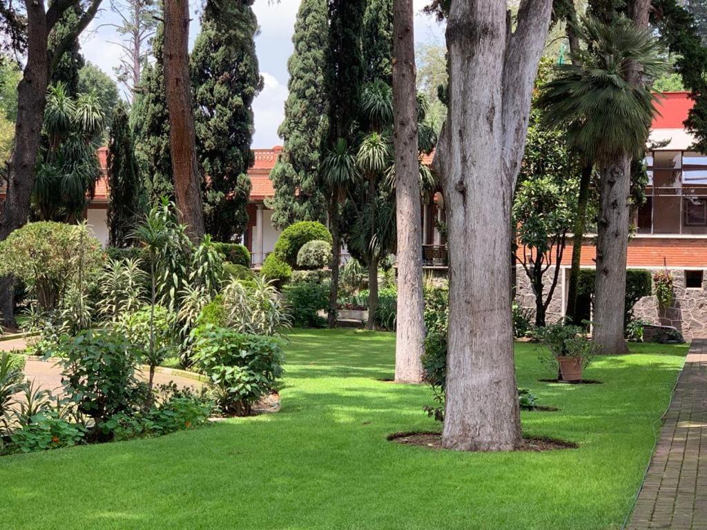 Hotel Express Quinta Soledad Meksika Dış mekan fotoğraf