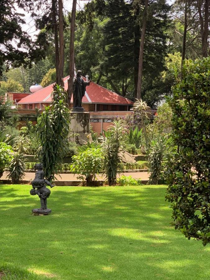 Hotel Express Quinta Soledad Meksika Dış mekan fotoğraf