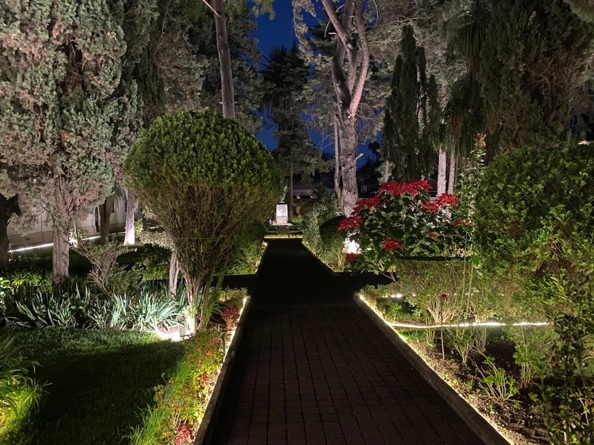 Hotel Express Quinta Soledad Meksika Dış mekan fotoğraf