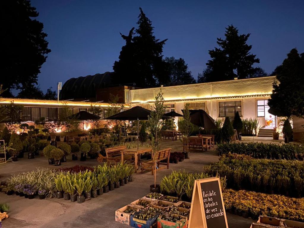 Hotel Express Quinta Soledad Meksika Dış mekan fotoğraf