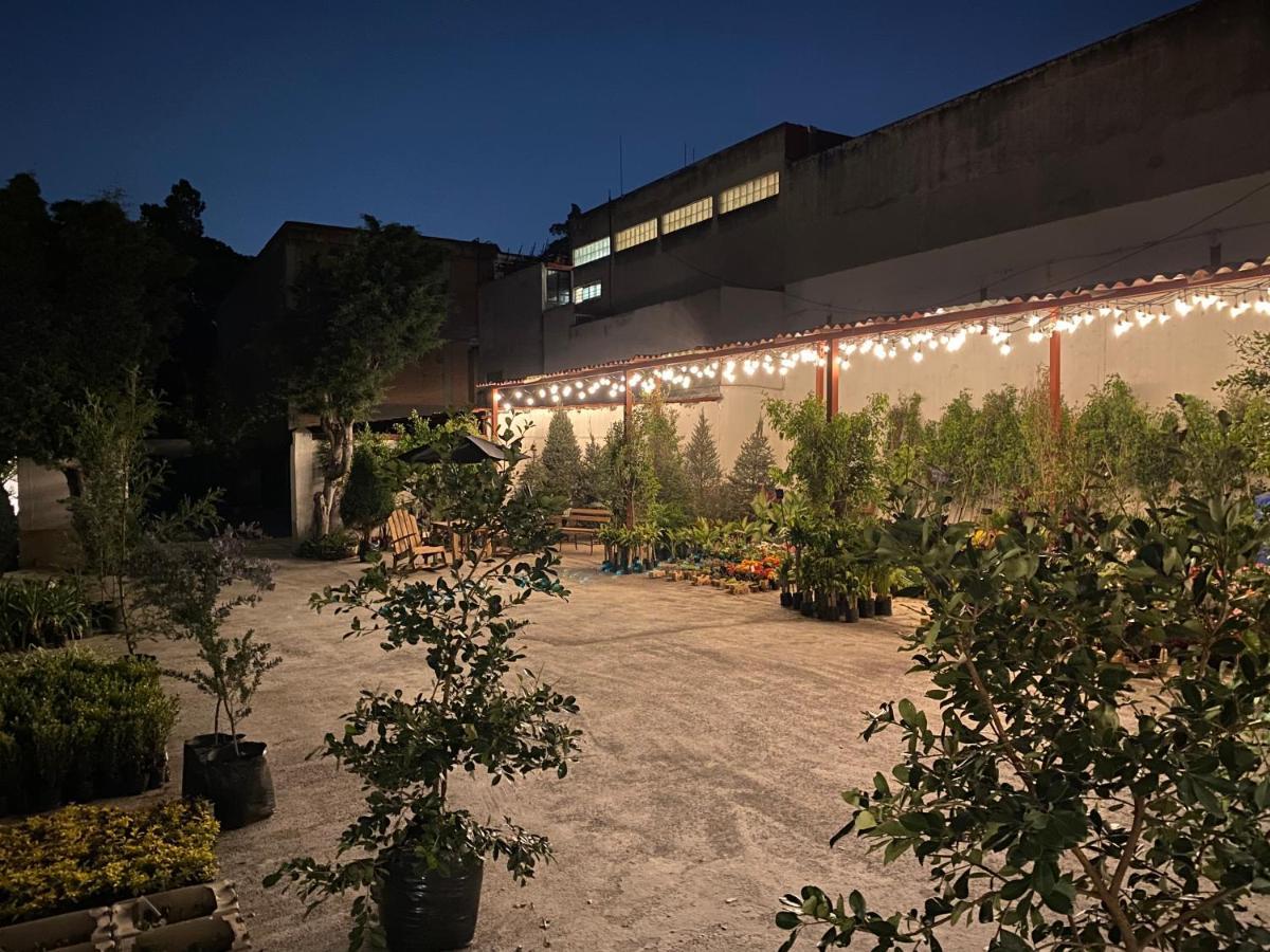 Hotel Express Quinta Soledad Meksika Dış mekan fotoğraf