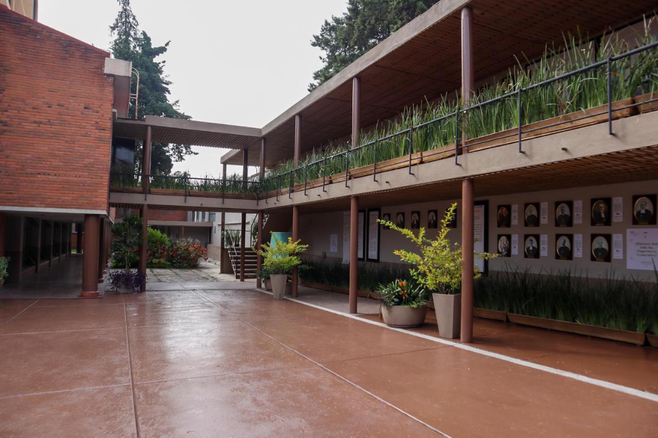 Hotel Express Quinta Soledad Meksika Dış mekan fotoğraf
