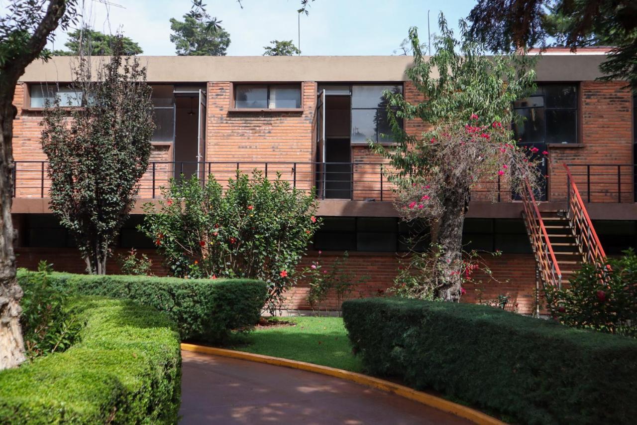 Hotel Express Quinta Soledad Meksika Dış mekan fotoğraf
