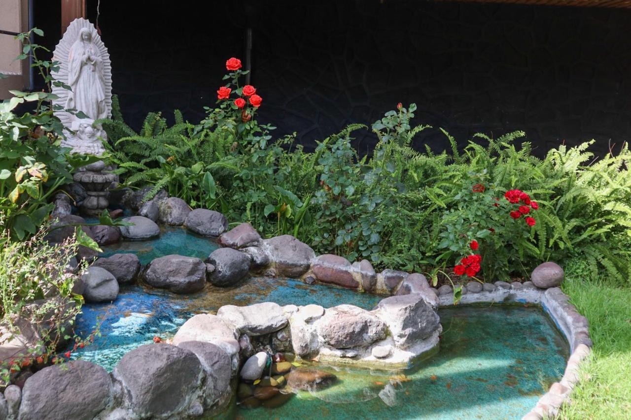 Hotel Express Quinta Soledad Meksika Dış mekan fotoğraf