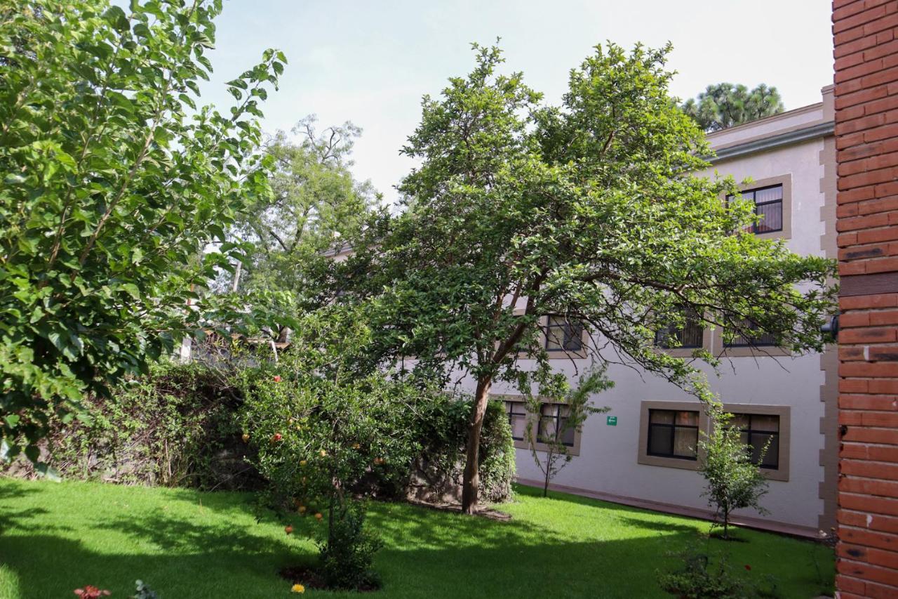 Hotel Express Quinta Soledad Meksika Dış mekan fotoğraf