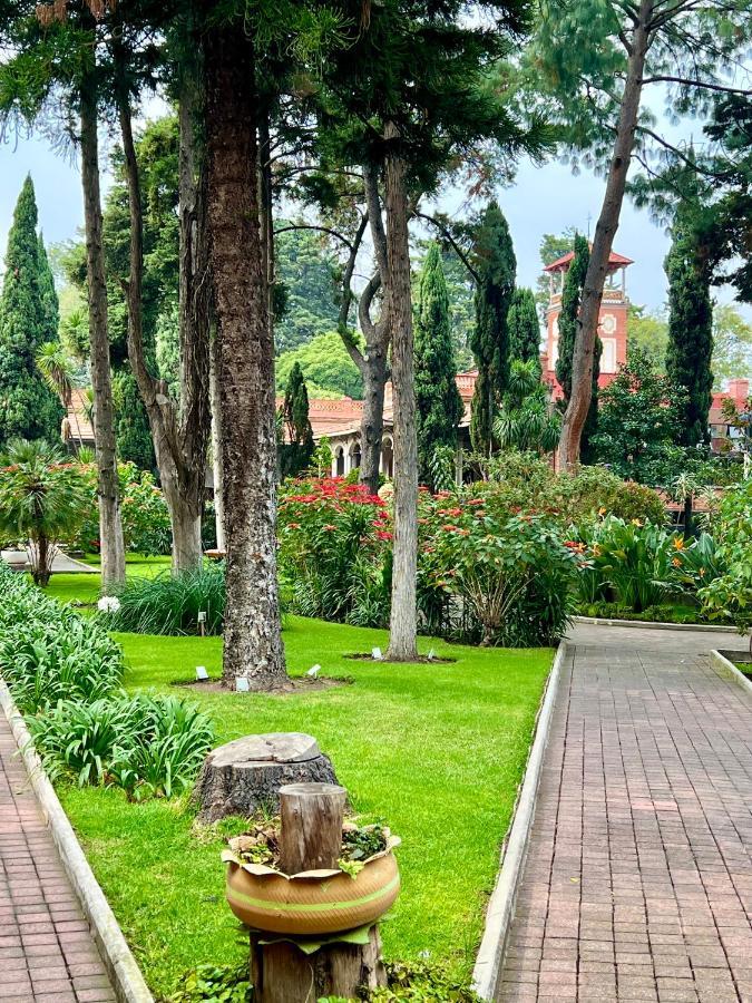 Hotel Express Quinta Soledad Meksika Dış mekan fotoğraf