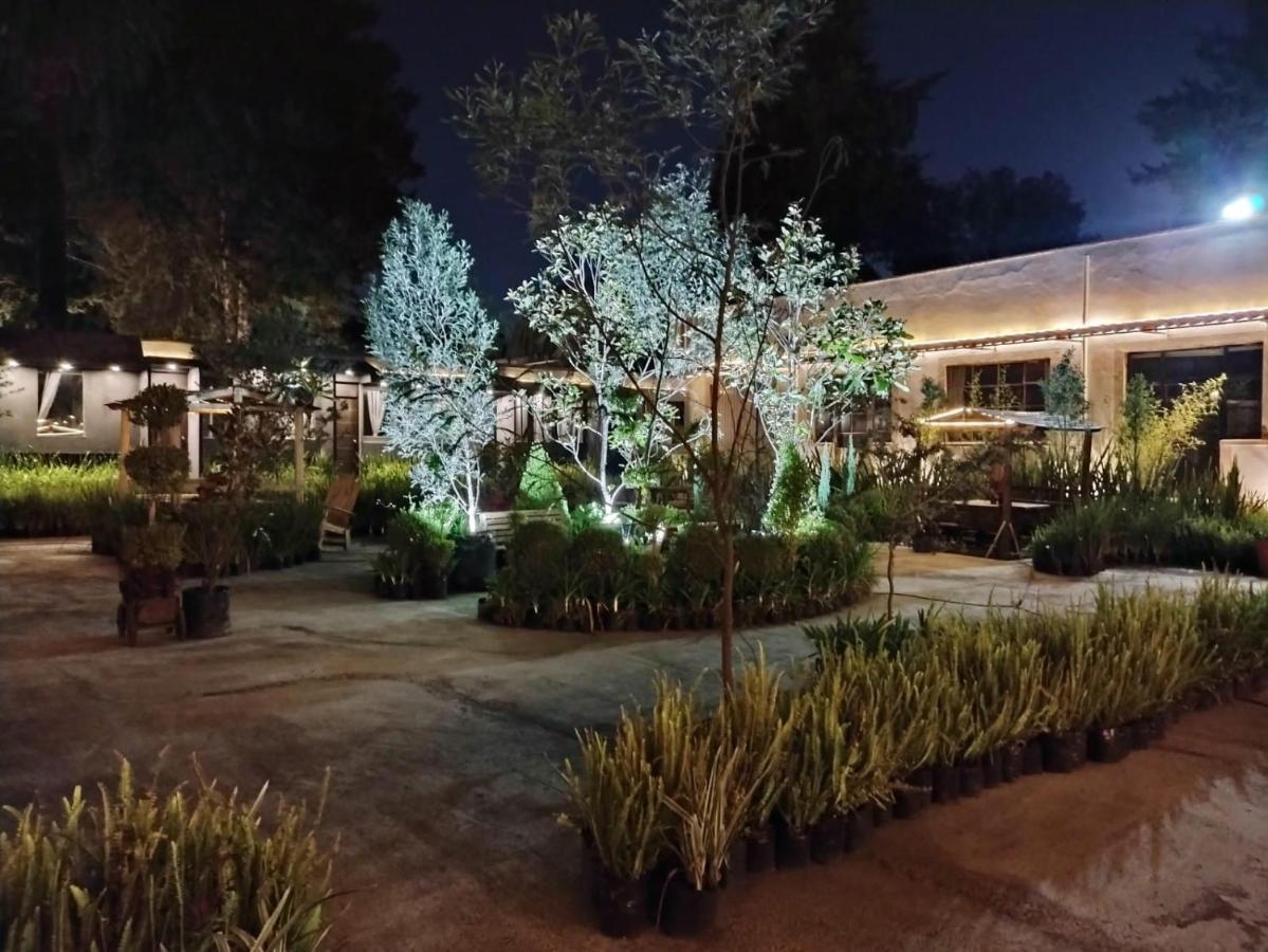 Hotel Express Quinta Soledad Meksika Dış mekan fotoğraf
