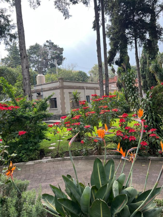 Hotel Express Quinta Soledad Meksika Dış mekan fotoğraf