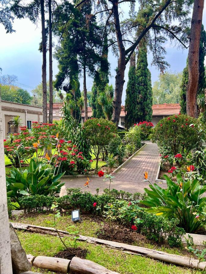 Hotel Express Quinta Soledad Meksika Dış mekan fotoğraf